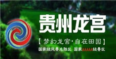 大鸡巴骚屄猛操视频